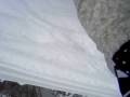 aspen 08-09