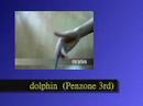 Penzone合輯