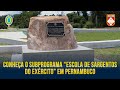  Conheça o Subprograma Escola de Sargentos do Exército - ESE em Pernambuco.