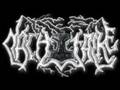 Nachtfalke - Nordic Warriors