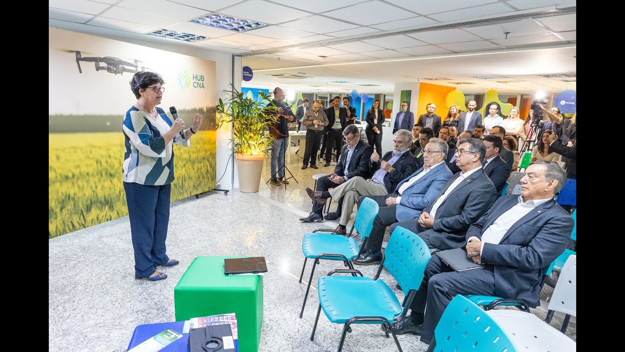 Resumo da Semana - 11 a 15 de novembro de 2024