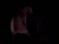 videos de Kate Fetrow Humped by Jon Willis' Dog