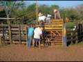 videos de segura peao rosana