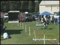videos de Wynn Masters STD 10-12-08