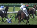 【Ｒ．ムーア騎手落馬あり】2019年11月24日東京競馬3Rエブリワンブラック2戦目6着