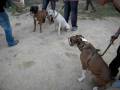 videos de MAVERICK & BAZUKA TRAINING  part 2