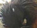 videos de La Tita