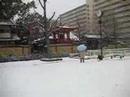 Yuki, Osaka no kouen, Japan