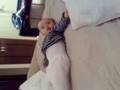 videos de Pedro 2