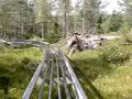 Alpine Track