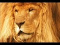 Juan Carlos Alvarado - Fuego - Los Enemigos de Jehova
