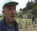 Beit Jala: The Wall
