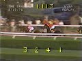 Affirmed vs. Alydar - 1978 Travers Stakes (Final Meeting) Affirmed vs. Alydar - 1978 Travers Stakes (Final Meeting)