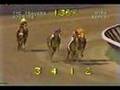 Affirmed vs. Alydar - 1978 Travers Stakes (Final Meeting)