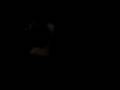 videos de el mejor cantante de pozuelo