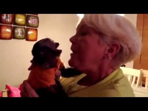 Reação do bebê macaco após uma semana sem ver a dona..