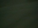 crazy stunt hector