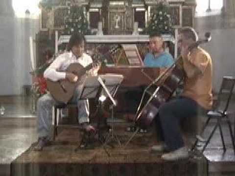 The Art of playing the guitar