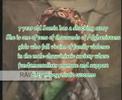 Samia tajik pashtun pashton tajiki farsi hazara afghan Samia tajik pashtun pashton tajiki farsi hazara afghan