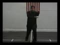 Shun Shen Tao Qigong 24 Postures 1 of 16