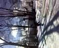 Hislops Rink First skate in 20 Years