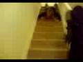 videos de katie falling down the stairs.