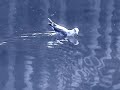 Wandle Delta Blues Wandle Delta Blues