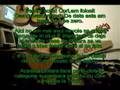 Cort Electro Acustic Co SFX 1 F NS