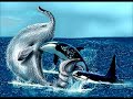 Cryptids and Paranormal Creatures 2