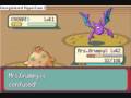 Shroomish low level solo run - Archie
