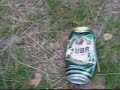 ?ubr wyst?puje w puszczy