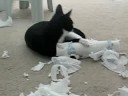 Lilly strikes again!!! Haha