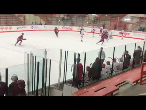 Ryder Beegun hockey highlights