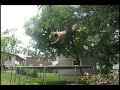 Dovicka Trampoline Sampler 2