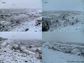 Somos Albojenses te ofrece un fotomontaje de este dia.Nevazo en Albox!!un dia para recordar