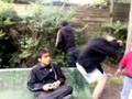 19052008272_xvid