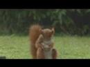 Carlsberg sports ad Carlsberg sports ad