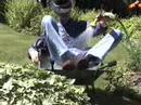 Wheelbarrow soaking