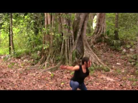 lima lama - un cortometraje basado en el entrenamiento de dos jóvenes en la disciplina arte marcial polinesio lima lama