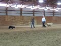 Patrick Shannahan Clinic - 1