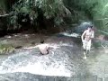 ESCORREGANDO 8)