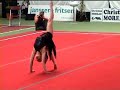 Dutch gymnastics 2004: Renske Endel dances Dutch gymnastics 2004: Renske Endel dances