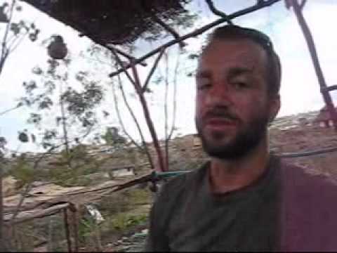 how to chew khat properly