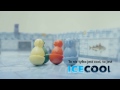 ICECOOL (edycja polska)