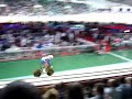 Bradley Wiggins Wins Gold Bradley Wiggins Wins Gold