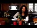 Eco Friendly Christmas Special Eco Friendly Christmas Special