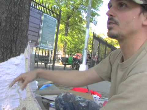 Walrus TV | David Ellis