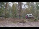 Root Rake
