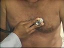 assessment  heart sounds 3