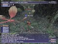 72 THF vs Even Match Colibri